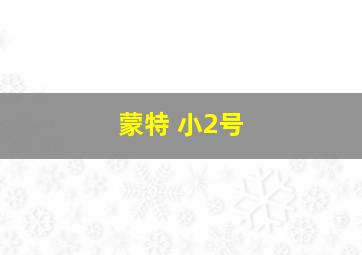 蒙特 小2号